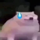 het_cuu