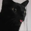 pluh