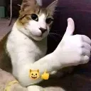 thumbscat2