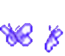 mxButterfly6