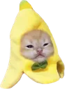 bananacat bananacat