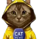 catnews2 Discord Emoji