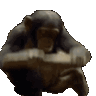 977021126544875541