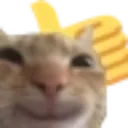 SwagThumbsUp