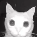 horror