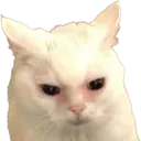 MadCat