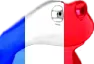 Fransus