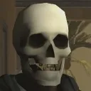 Skull