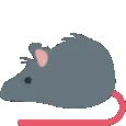 dancerat