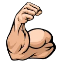 bicep