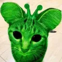 GnarpGnarp GnarpGnarp