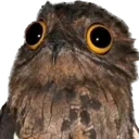 PotooWhat
