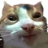 stare3 stare3