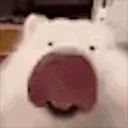 doglixk