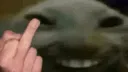 xddFU