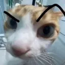 huh