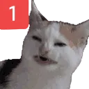 Pingcat Discord Emoji