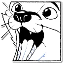 ToonFenExcited