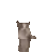 animated_jumping_cat