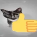 catthumbsup