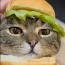 KittyBorgar