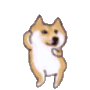 Dogedance dogedance Discord Emoji