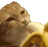 ch_banan ch_banan