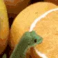 Orange Orange