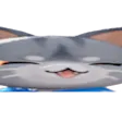 widebardi