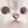 weirdcat