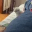imgettingriledup