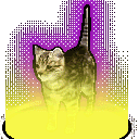 rare_cat Discord Emoji