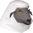 baa