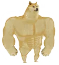 strongdoge
