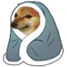 cheemsblanket