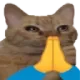 praycat
