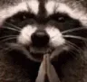 evilRaccoon