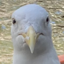 what Discord emoji