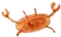krebshake