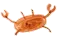 lilkreb