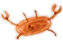 mediumkreb