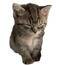 eepy