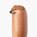 wienooor