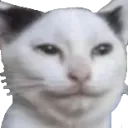 Lil_Goober Lil_Goober