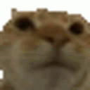 nonocat Discord Emoji