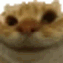 sisicat Discord Emoji