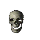 skull