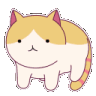 Spinny Cat Discord Emoji
