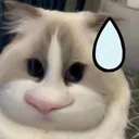emoji_60