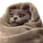 :1_amoji_475: 1_amoji_475